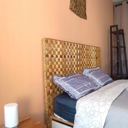 Homestay Chambre Spacieuse Et Lumineuse Chez L'habitant Nice